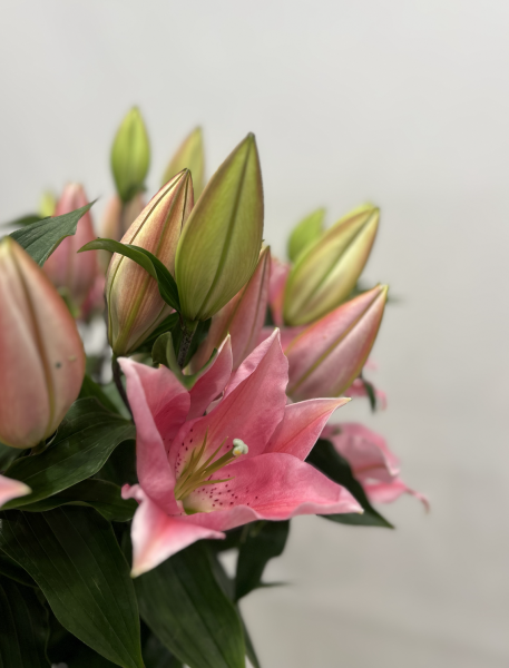 Fleurs d'Auteuil livre à Paris 3e Arrondissement : Des Bouquets pour Éblouir