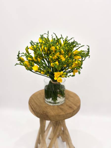 Des Bouquets de Fleurs pour une Rentrée Réussie avec Fleurs d'Auteuil