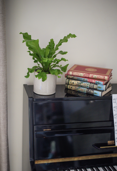 Vases et Cache-Pots de Fleurs d'Auteuil : Livraison à Boulogne-Billancourt