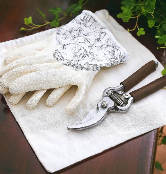 Outils et Accessoires de Jardin par Fleurs d'Auteuil : Livraison à Paris 8e Arrondissement