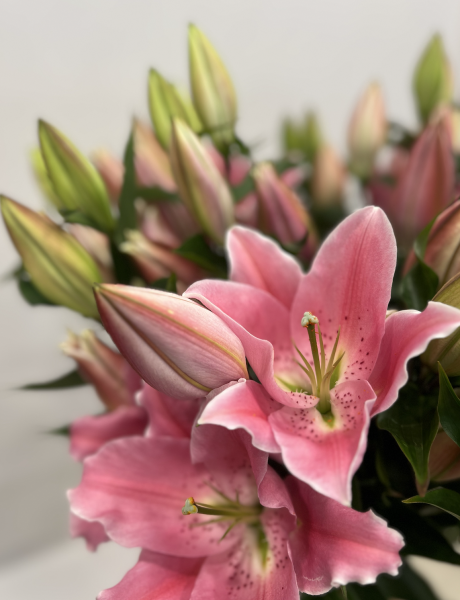 Fleurs d'Auteuil livre à Paris 11e Arrondissement : Bouquets Éclatants pour Célébrer