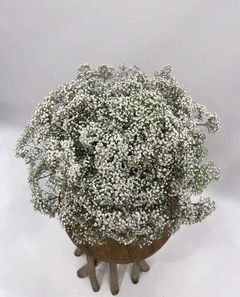 Bouquets Éblouissants avec Fleurs d’Auteuil qui livre à Paris 1er Arrondissement