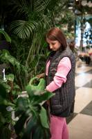 Fleurs d'Auteuil -  Acheter un bouquet composé de fleurs variées à Paris 6ème