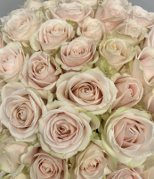 Fleurs d'Auteuil -  Vente de bouquets de tulipes à Paris 16ème