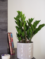 Artisan fleuriste à Paris 15ème