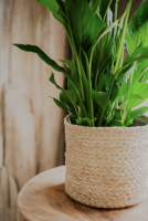 Fleurs d'Auteuil -  Trouver un fleuriste à Levallois-Perret 92300 pour composer un beau bouquet de roses