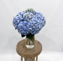 Fleurs d'Auteuil -  Demander la livraison d'un bouquet de roses blanches à Paris 16ème