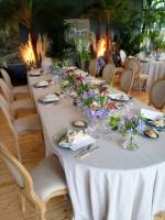 Fleurs d'Auteuil -  Fleuriste pour l'achat de plantes grasses à Paris 15ème