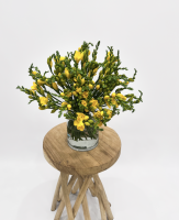 Fleurs d'Auteuil -  Compositions florales pour entreprises à Paris 17ème