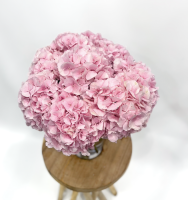 Artisan fleuriste à Paris 16ème