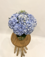 Fleurs d'Auteuil -  Acheter des accessoires de jardinage à Neuilly-sur-Seine 92200