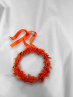 Fleurs d'Auteuil -  Acheter des plantes pour extérieur à Paris 16ème