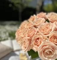 Artisan fleuriste à Boulogne-Billancourt 92100