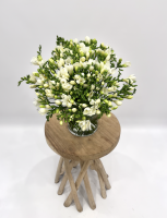 Fleurs d'Auteuil -  Fleuriste pour l'achat de plantes grasses à Levallois-Perret 92300